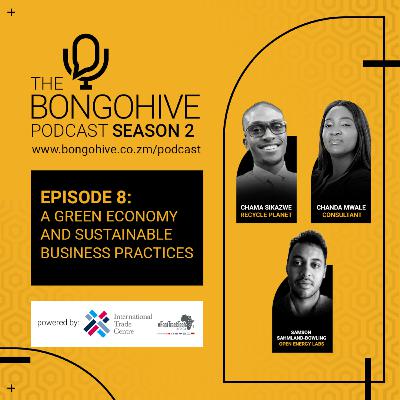 S2 Episode 8: A Green Economy and Sustainable Business Practices with Chama Sikazwe, Samson Sahmland-Bowling, and Chanda Mwale S2 Episode 8: A Green Economy and Sustainable Business Practices with Chama Sikazwe, Samson Sahmland-Bowling, and Chanda Mwale