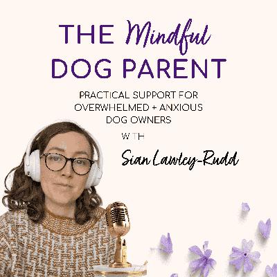 Your Dog’s “Bad Day” Doesn’t Mean You’ve Gone Backwards: A Calm Reframe for Reactive Moments