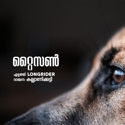 റ്റൈസൺ | എഴുത്ത് Longrider | വായന കല്ല്യാണിക്കുട്ടി | മലയാളം കഥ | Malayalam Story