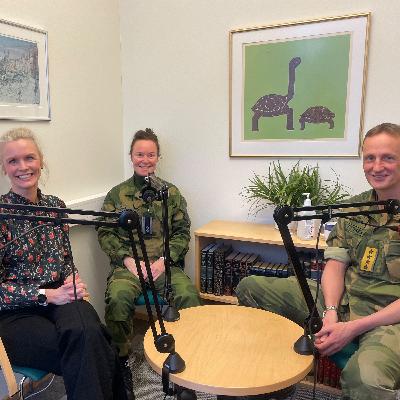 Fatigue og parrelasjoner