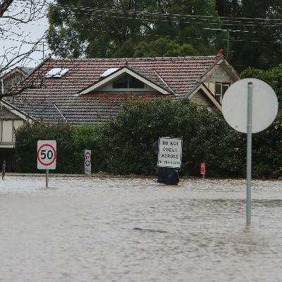 S2 Ep2: Flood as Catalyst