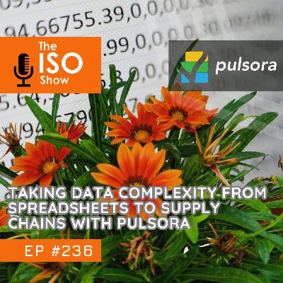 #236 Taking Data Complexity From Spreadsheets To Supply Chains With Pulsora