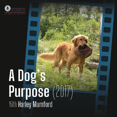 A Dog's Purpose (2017) with Harley Mumford A Dog's Purpose (2017) with Harley Mumford