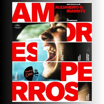 Amores perros sigue mordiendo 25 años después Amores perros sigue mordiendo 25 años después