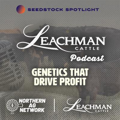 Genetics that drive profit with Leachman Cattle Genetics that drive profit with Leachman Cattle