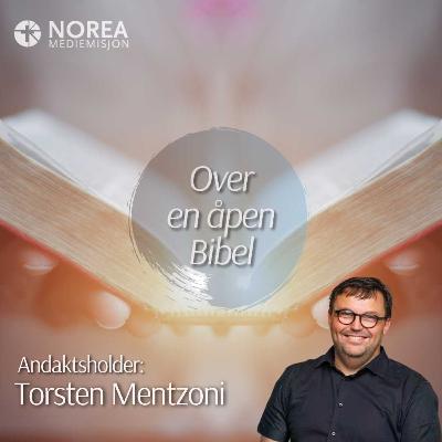 E2609 -5-Torsten Mentzoni - Gud kjenner deg fra innsiden og ut