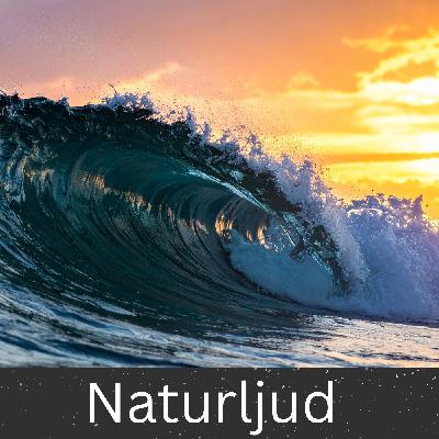 White Noise - 10 timmar för sömn, meditation och avkoppling White Noise - 10 timmar för sömn, meditation och avkoppling