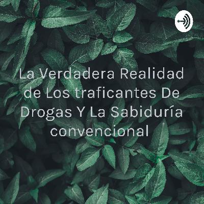 La verdadera realidad de los traficantes de drogas y la sabiduría convencional
