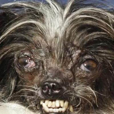 Squeak and the Drako show 4.0