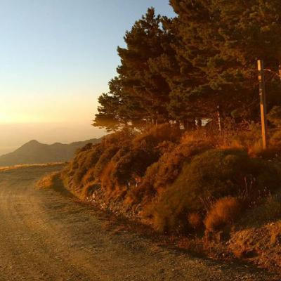 De almÁciga, tierra de mujeres y cuadernos de campo con marÍa sÁnchez