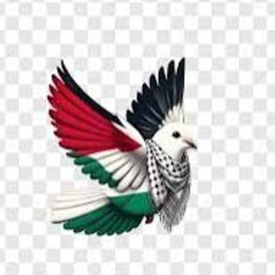 Será que Teremos Paz em Gaza?