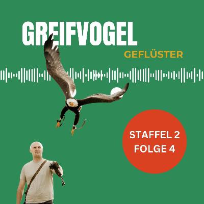 Öffentlichkeitsarbeit mit Lukas Feyen - Falkner bei den Karl-May-Festspielen Öffentlichkeitsarbeit mit Lukas Feyen - Falkner bei den Karl-May-Festspielen