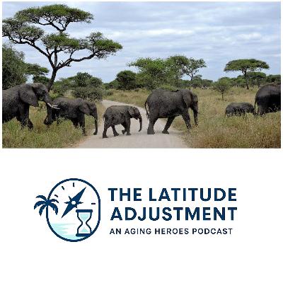 S3E12: It's not a Real Lion - Return to Baseline