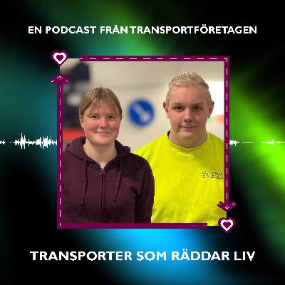 När transporterna blir avgörande – Sveriges roll i NATO