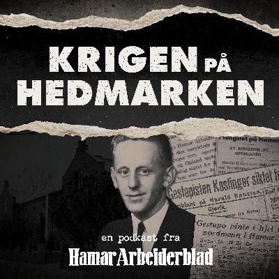 Drapet på Harald Knutsen