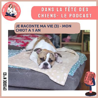 Je raconte ma vie - mon chiot a un an