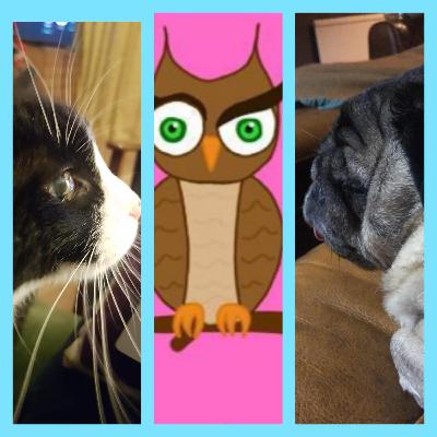 The one with live studio guest Ed the nephew, the ole cats v dogs debate and man caves on the moon. The one with live studio guest Ed the nephew, the ole cats v dogs debate and man caves on the moon.