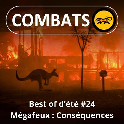 BEST OF D'ÉTÉ #24 : Mégafeux, les conséquences 3/4