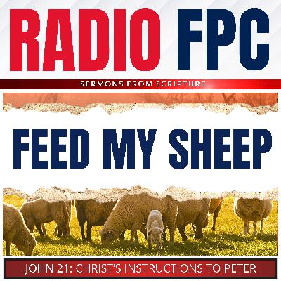 John: Feed My Sheep (Christ's Words To Peter)