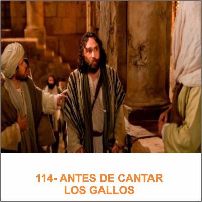 114- ANTES DE CANTAR LOS GALLOS