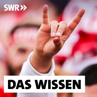 Wolfsgruß und Friedens-Zeichen – Die Macht politischer Symbole