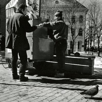 An Art Heist Stuns Maine, and a Hawk Baffles Birders An Art Heist Stuns Maine, and a Hawk Baffles Birders