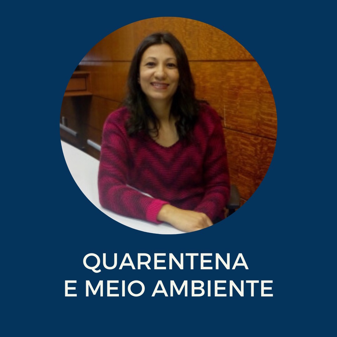 Shelomon Comunicação
