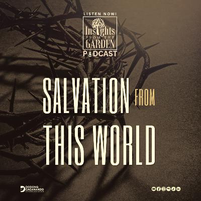 Salvation From This World
