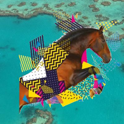 Ce que je deviendrai plus tard : cavalière Ce que je deviendrai plus tard : cavalière
