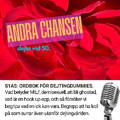 S1A5: ORDBOK FÖR DEJTINGDUMMIES. S1A5: ORDBOK FÖR DEJTINGDUMMIES.