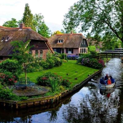 Too Much of a good thing Too Much of a good thing