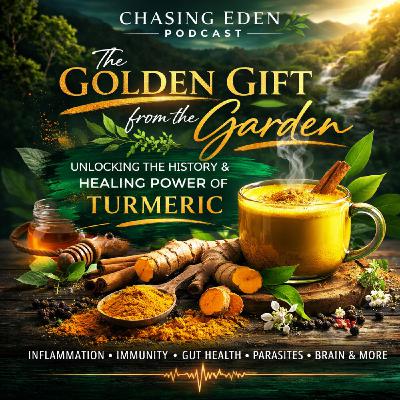 The History & Healing Power of Turmeric