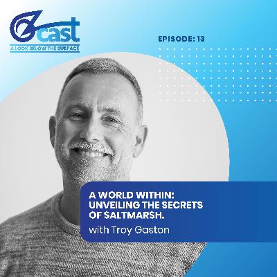 A World Within: Unveiling the Secrets of Saltmarsh A World Within: Unveiling the Secrets of Saltmarsh