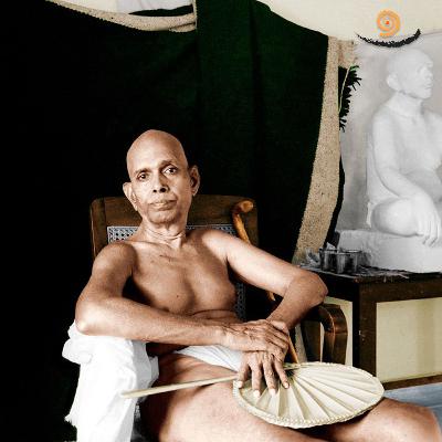 641. Illusion is to see many, while truth is to see the many in One - Non Duality Meditation