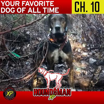 Your Favorite Dog Of All Time Chapter 10