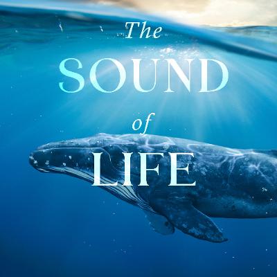 Episode 311-Interspecies Communication—Fantasy or Reality? Episode 311-Interspecies Communication—Fantasy or Reality?