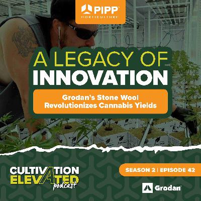 042 - A Legacy of Innovation: Grodan's Stone Wool Revolutionizes Cannabis Yields
