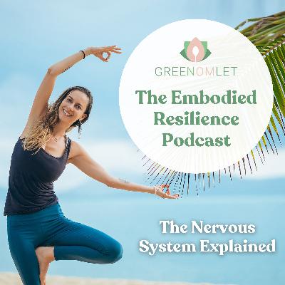 3: The Nervous System Explained - Why You’re Not Meant to Be Regulated All the Time 3: The Nervous System Explained - Why You’re Not Meant to Be Regulated All the Time