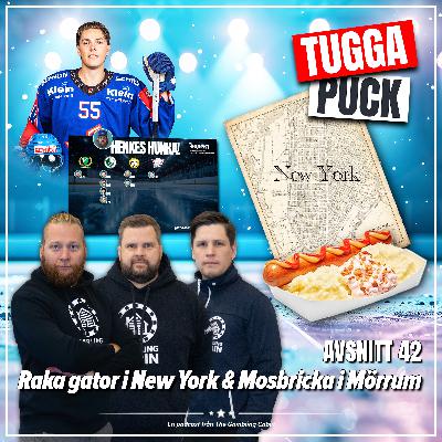 Avs. 42 - Raka gator i New York & Mosbricka i Mörrum