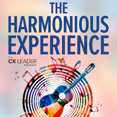 The Harmonious Experience
