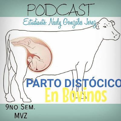 Parto Distócico MVZ 🐮🐄💛