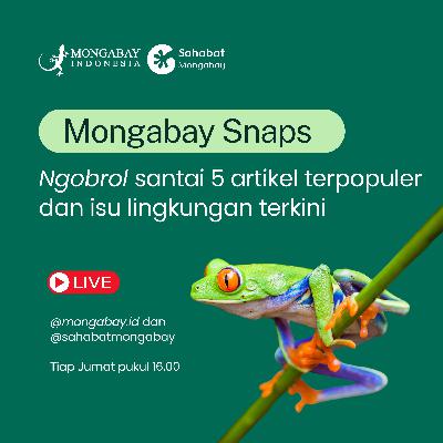 Mongabay Snaps: Perebutan Ruang Hidup Atas Nama Pembangunan