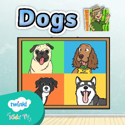 Dogs Quiz for Kids