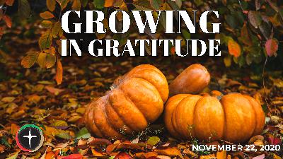 2020-11-22 SuzetteMason Growing In Gratitude