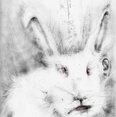 The Rabbit