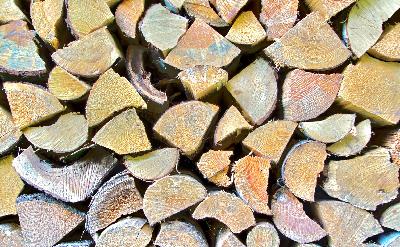 Hvorfor samstemmer Matteus og Lukas så dårlig? Hvorfor samstemmer Matteus og Lukas så dårlig?