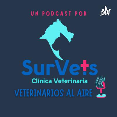 Calidad de vida en mascotas