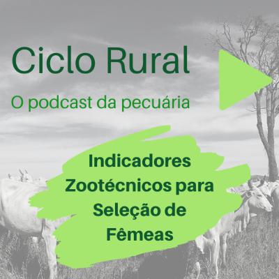 #08 - Indicadores Zootécnicos para Seleção de Fêmeas