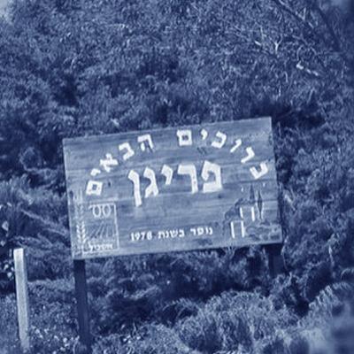 אין מקום אחר - פרי גן
