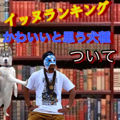 #067 イッヌランキング かわいいと思う犬種について